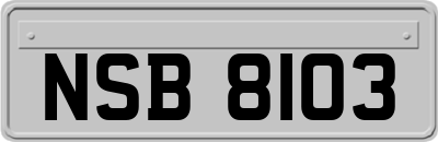 NSB8103