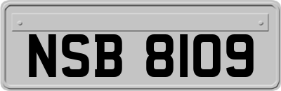 NSB8109