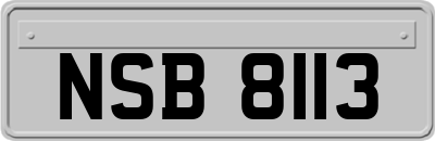 NSB8113