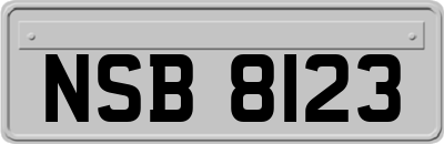 NSB8123