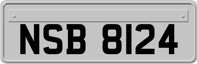 NSB8124