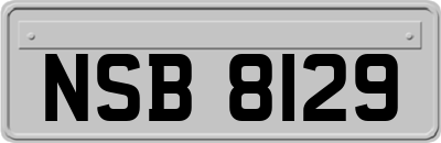 NSB8129