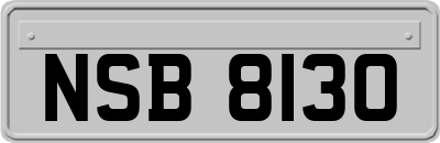 NSB8130