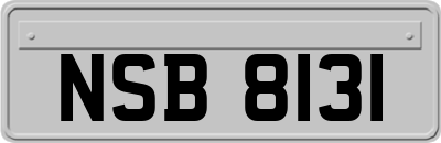 NSB8131