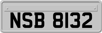 NSB8132