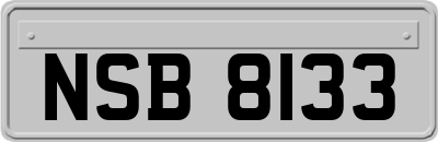 NSB8133