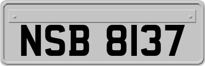 NSB8137