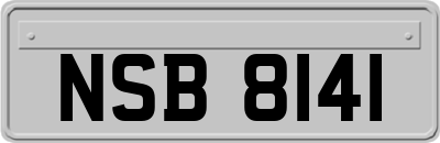 NSB8141