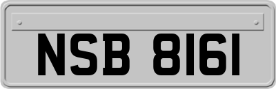 NSB8161