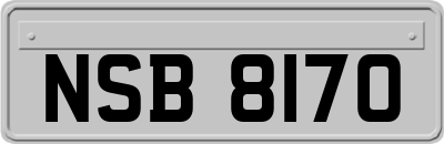 NSB8170