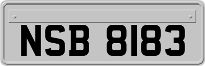 NSB8183