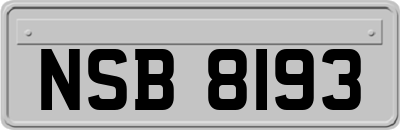 NSB8193