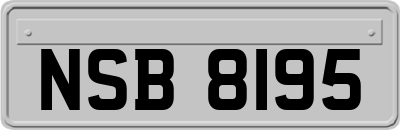 NSB8195