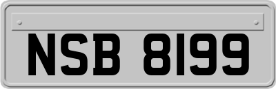 NSB8199