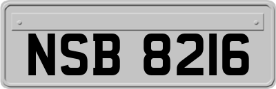 NSB8216