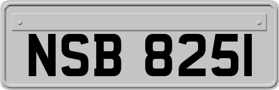 NSB8251