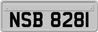 NSB8281