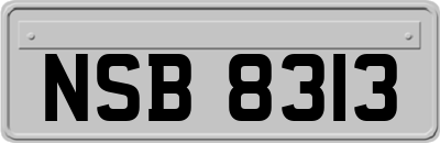 NSB8313