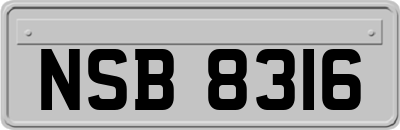 NSB8316