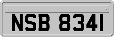 NSB8341