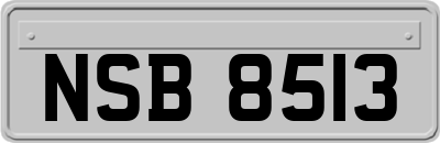 NSB8513