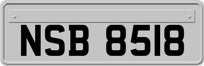 NSB8518