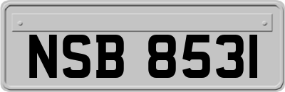 NSB8531