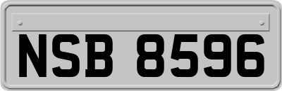 NSB8596