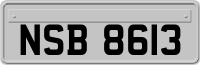 NSB8613