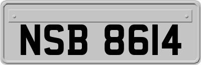 NSB8614