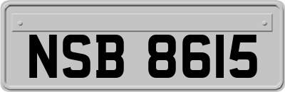 NSB8615