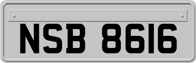 NSB8616