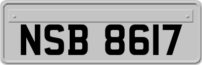 NSB8617