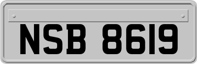 NSB8619