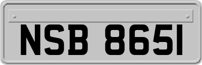 NSB8651