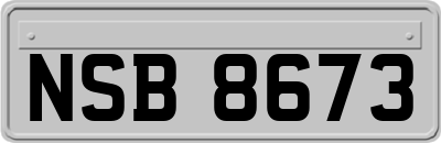 NSB8673