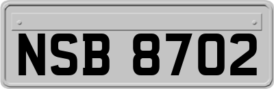 NSB8702