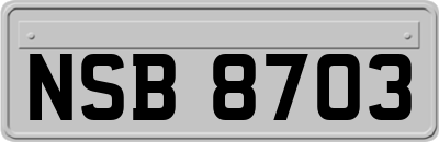 NSB8703