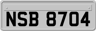 NSB8704