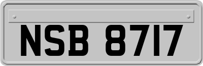 NSB8717