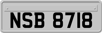 NSB8718