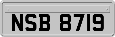 NSB8719