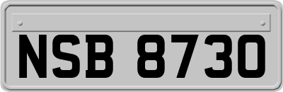 NSB8730