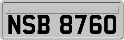 NSB8760