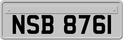 NSB8761