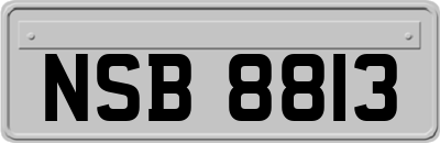 NSB8813