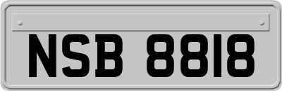 NSB8818