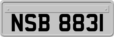 NSB8831