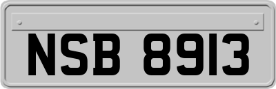 NSB8913