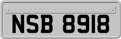 NSB8918